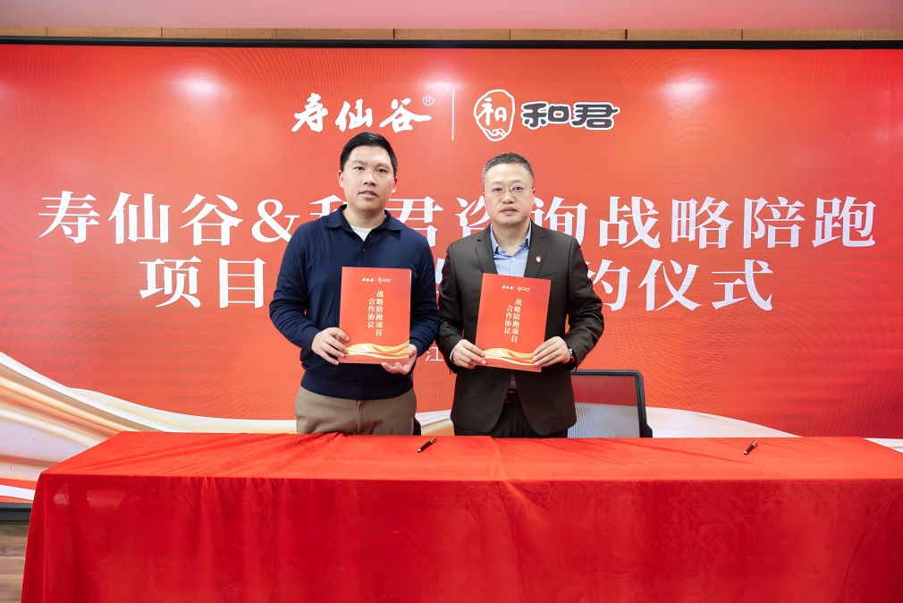 战略执行陪跑服务(战略执行五步方案案例)铁门关市